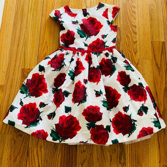 Gymboree Other - Dressed up by Gymboree Rose print crinoline dress